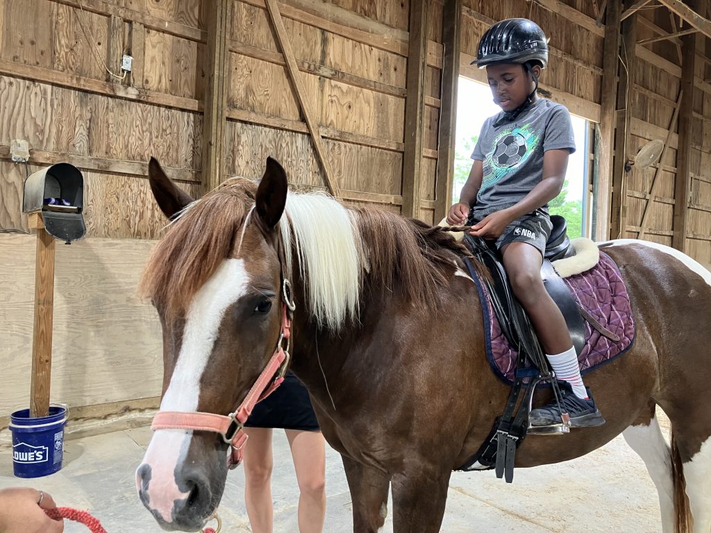 A boy sits on Zelda's back and plays with a braid in her mane while she stands patiently.