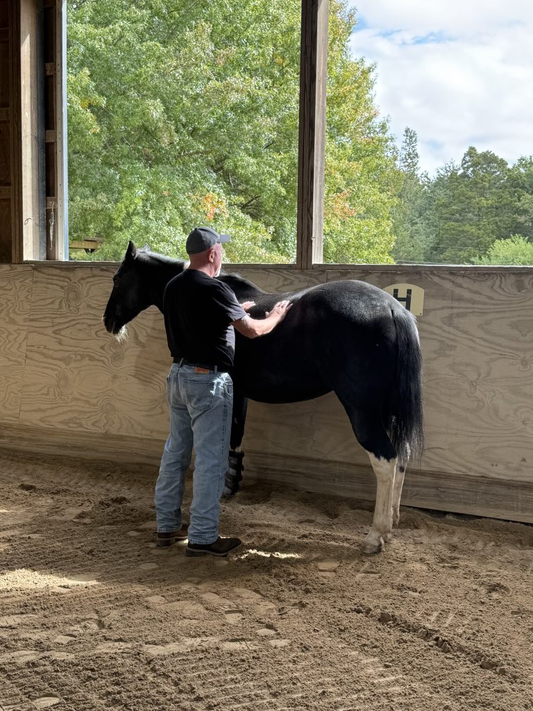 A man stands facing Stella with his hands on her back enjoying a moment of peace. Stella is not tied but is choosing to stand still.