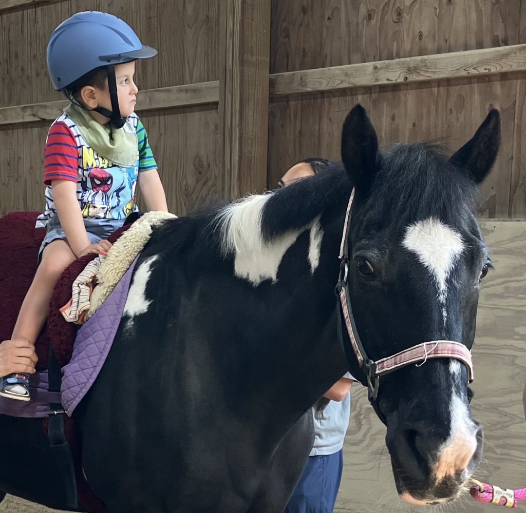 A young child sits on Stella's back in a bareback pad wearing a blue helmet. Volunteers are helping hold him on the horse while a third volunteer is holding Stella's lead rope.