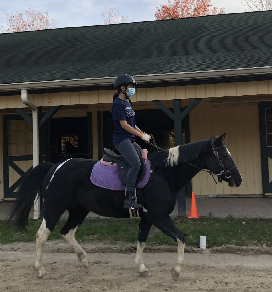 A young woman trots Stella in the outdoor arena.