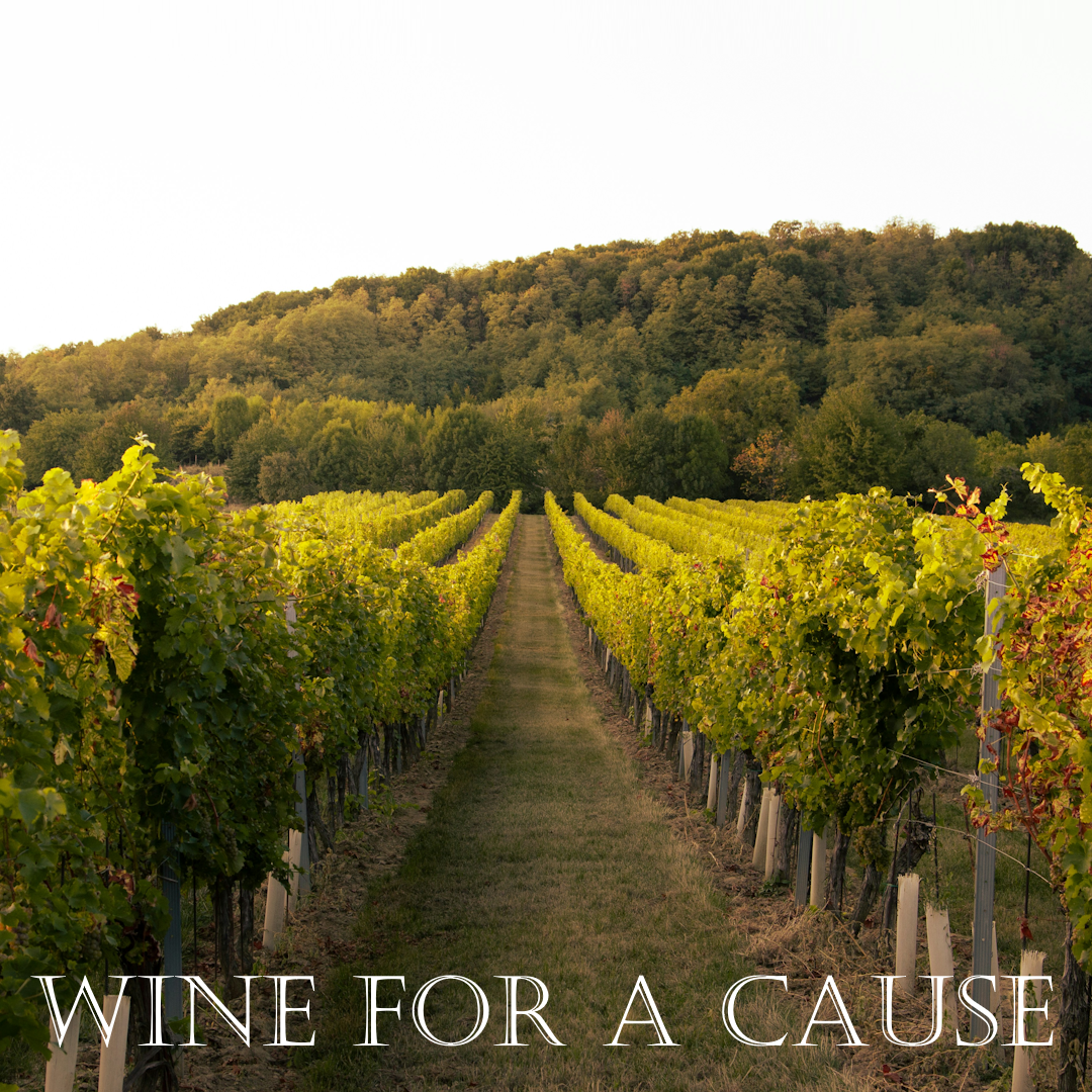 "Wine for a Cause" written on top of a photo of a vineyard with tree covered hills in the distance.